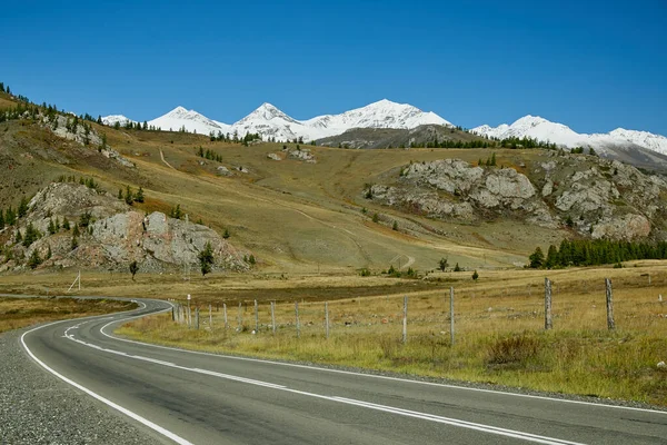 Altai Dağlarında Yol — Stok fotoğraf