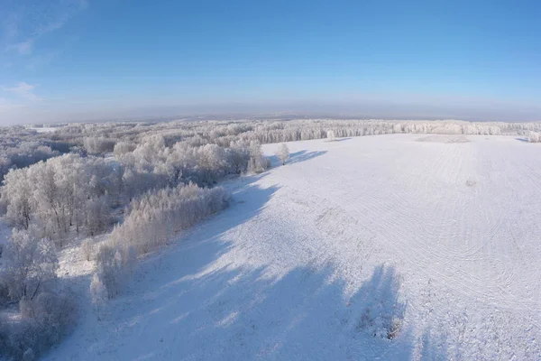 Paesaggio Panoramico Bella Foresta Invernale Nella Giornata Sole — Foto Stock