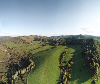 Sonbahar çayırlarının, kovanların ve ormanların insansız hava aracı görüntüsü. Havadan çekilmiş. Altai gidiyor, Rusya