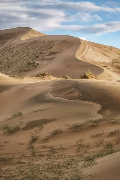 Barkhans Mongólia Sandy Duna Deserto Mongol Els Perto Lago Durgen — Fotografia de Stock