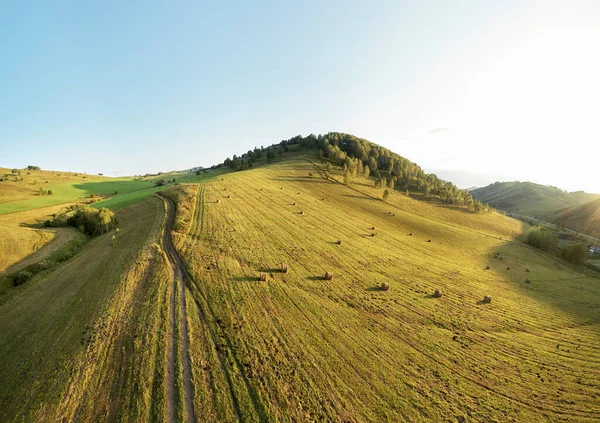 Drone Vista Colline Prato Autunnale Bosco Fotografia Aerea Della Natura — Foto Stock