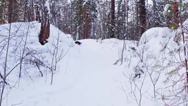 一个孩子在雪地的森林里滑倒了 — 图库视频影像