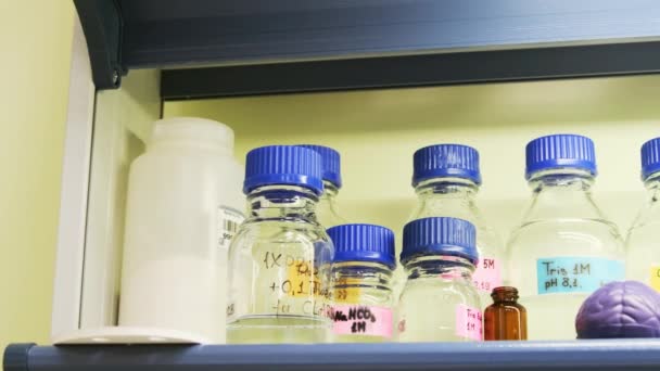 Overview Laboratory Shelf Empty Jars Human Brain Model — Stock videók