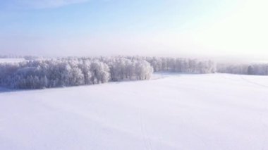 Beyaz ağaçlar ve mavi gökyüzü ile karlı arazinin drone görüntüleri