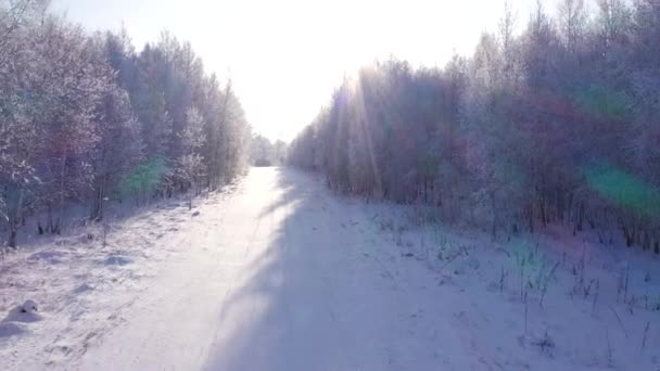 Bewegung Auf Schneebedeckter Straße Umgeben Von Schneebedeckten Bäumen Sonnenlicht — Stockvideo
