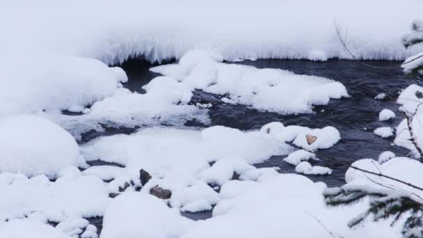 森林中的瀑布覆盖着积雪 — 图库视频影像