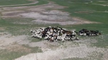 güzel Moğolistan manzarası