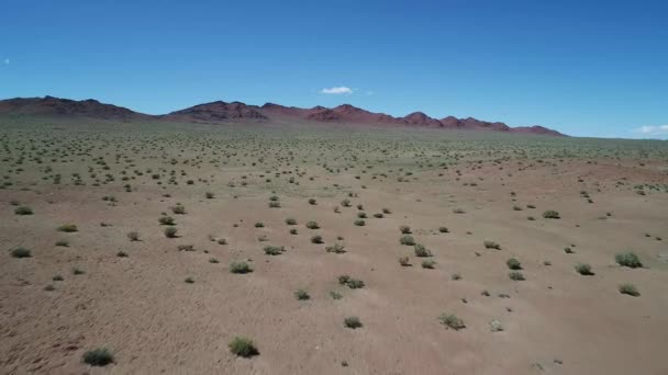 Hermosa Vista Del Desierto Mongolia — Vídeo de stock
