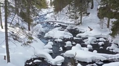 Karlı ve çıplak ağaçlarla çevrili nehir manzarası
