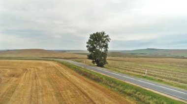 Ağaçlı, tarlalı ve tepeli yol manzarası