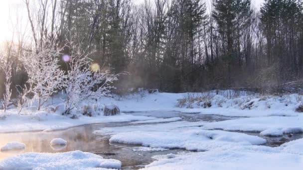 Vista Sul Fiume Con Vapore Circondato Neve Alberi — Video Stock