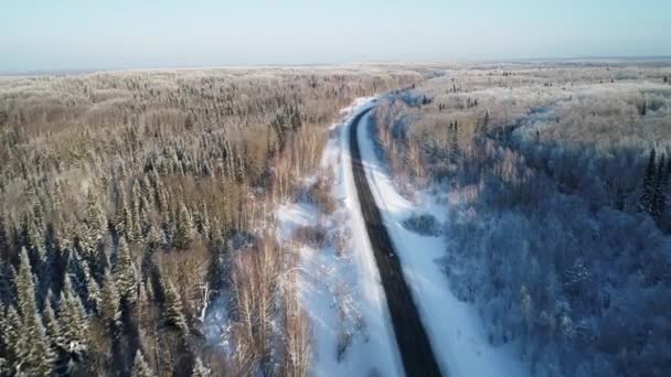 Luftaufnahme Der Schönen Verschneiten Landschaft — Stockvideo