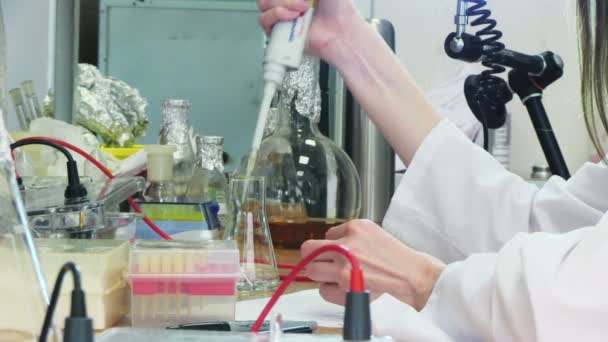 Researcher in laboratory — Stock Video