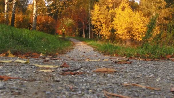 Девушка бегает в осеннем парке — стоковое видео