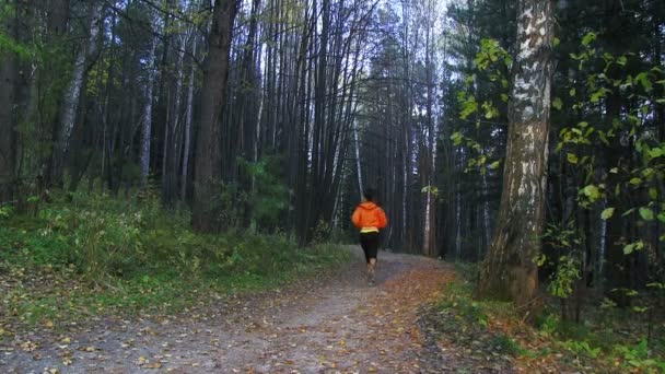 Ragazza in esecuzione nel parco autunnale — Video Stock