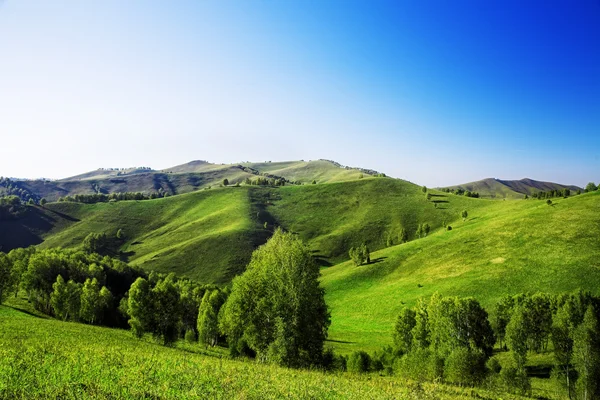 Paisagem com colinas verdes — Fotografia de Stock