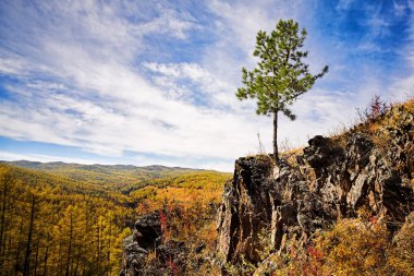 Ağaclı dağ manzarası