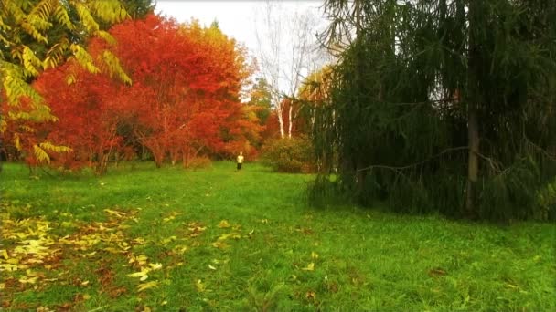 Chica corriendo en el parque de otoño — Vídeos de Stock