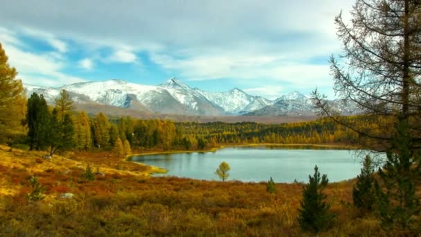 Herfst lake — Stockvideo