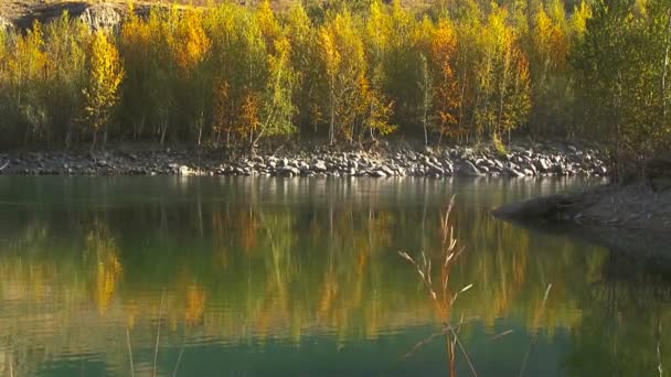 Autumn lake — Stock Video