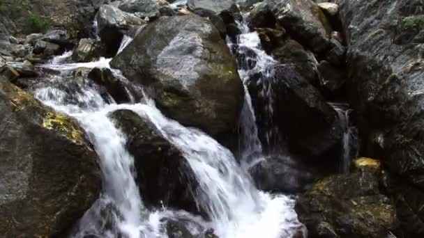 Mountain river. Waterfall — Stock Video