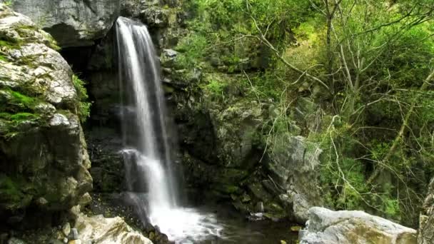 山区河流。瀑布 — 图库视频影像