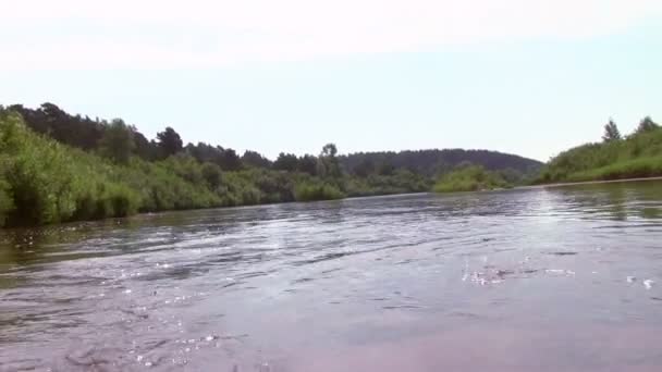 Пейзаж с рекой и деревьями — стоковое видео