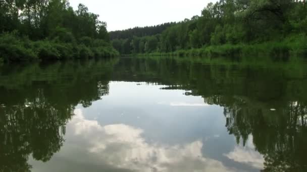 Paisaje con río y árboles — Vídeos de Stock