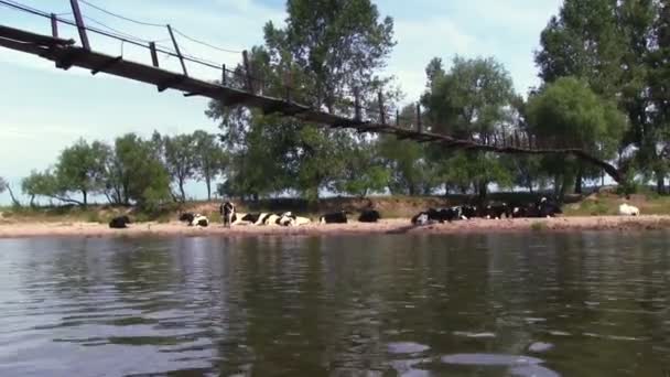 River with wood footbridge — Stock Video
