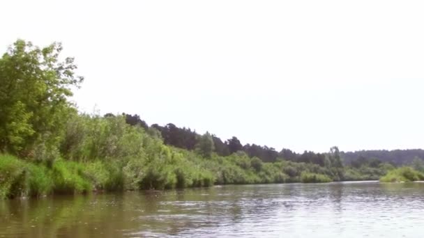 Літній пейзаж з річкою — стокове відео