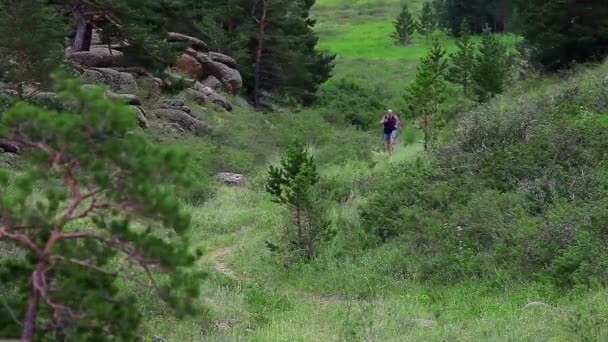 Hombre corriendo en la montaña — Vídeos de Stock