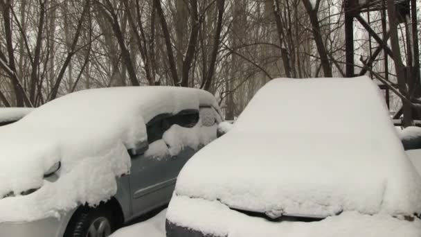 Автомобили, покрытые снегом на парковке — стоковое видео
