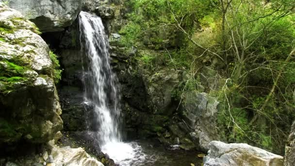Cachoeira no pequeno rio da montanha — Vídeo de Stock