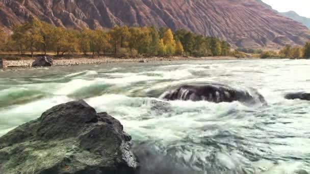 Foresta fluviale e autunnale — Video Stock