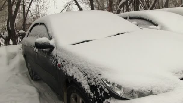 Voitures recouvertes de neige sur le parking — Video