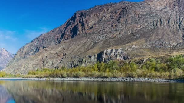 Río de montaña y bosque — Vídeos de Stock