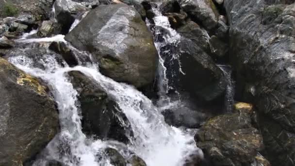 Cascade sur la petite rivière de montagne — Video