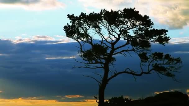 Sonnenuntergang mit Fels und Baum — Stockvideo