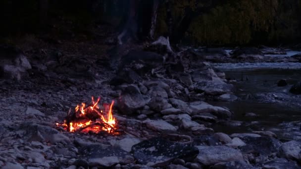 Táborový oheň — Stock video