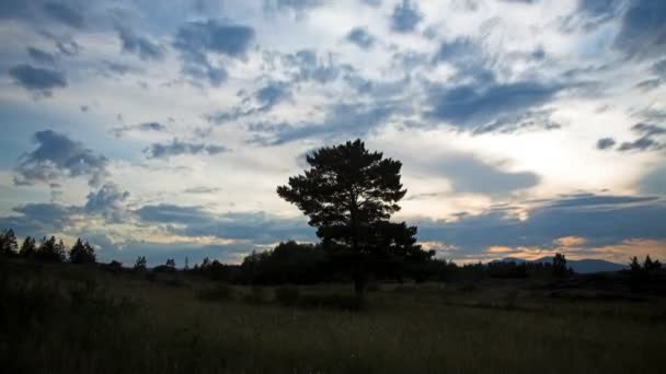 Timelapse con roca y árbol — Vídeos de Stock