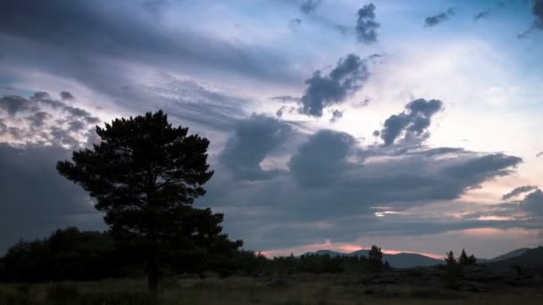 Zonsondergang met rots en boom — Stockvideo