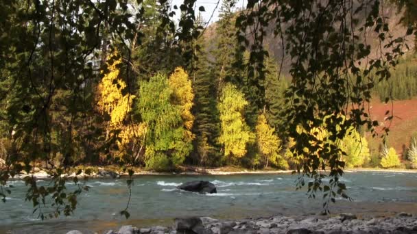 Podzimní krajina s řekou — Stock video