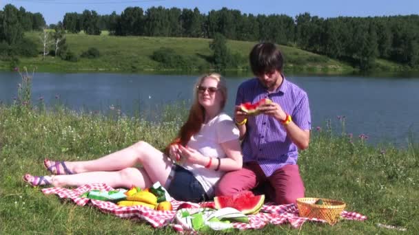 Happy couple have picnic — Stock Video