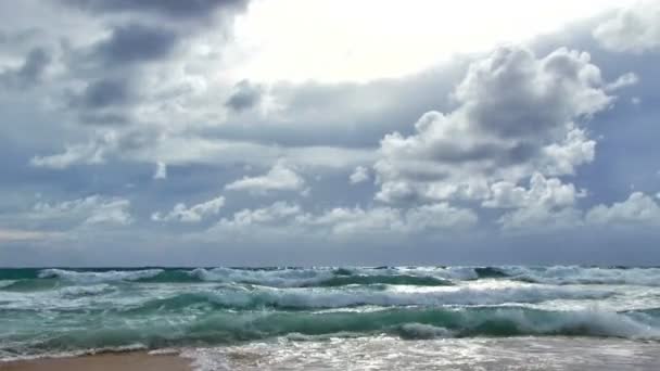 Surf en la playa tropical — Vídeo de stock