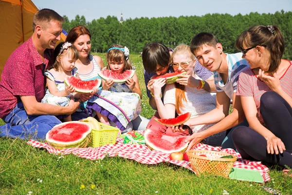 Boldog emberek piknik Stock Kép