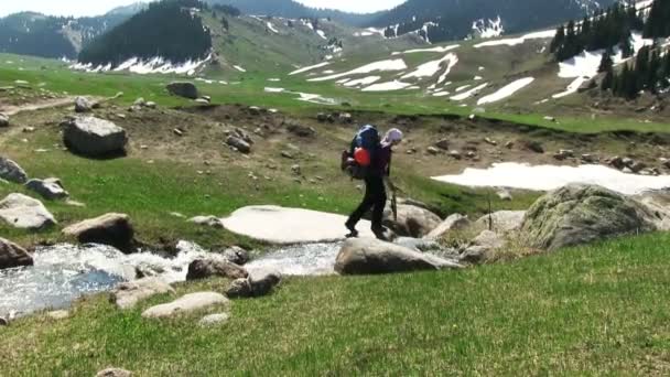 Uzun yürüyüşe çıkan kimse geçiş A küçük nehir — Stok video