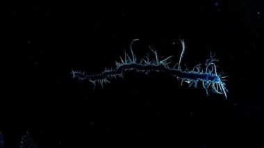 Kış buz üstünde pencere eşiği