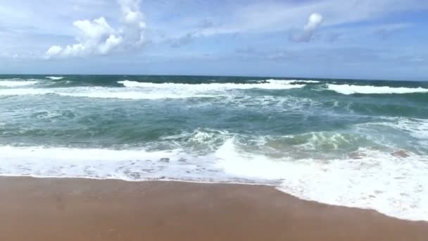 Tropisk strand och våg — Stockvideo