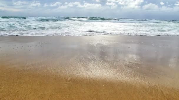 Surf en la playa tropical — Vídeo de stock