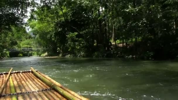 ジャングルの中で熱帯の川 — ストック動画